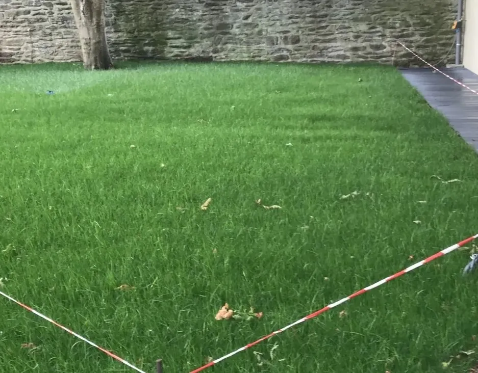 entretien pelouse vern sur seiche