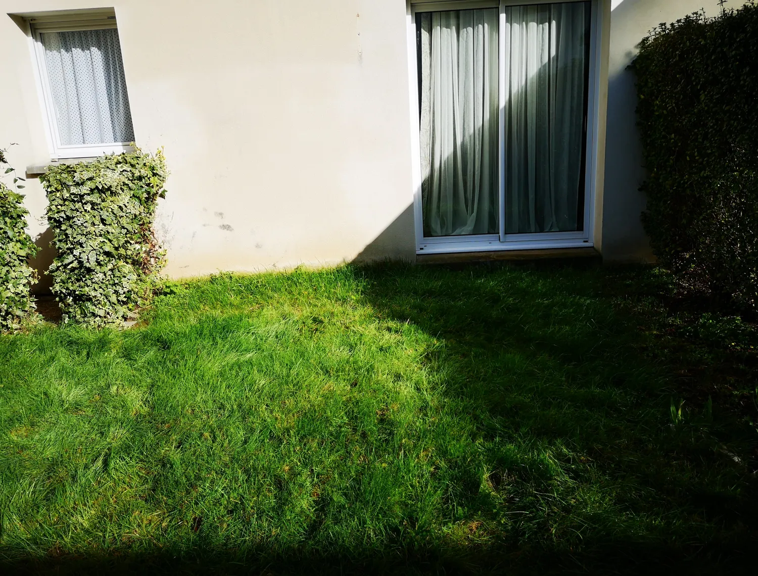 before-image