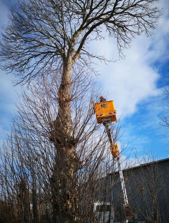 pose terrasse montgermont