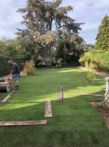 taille de haie cesson sevigne